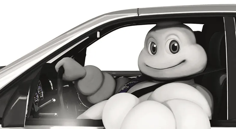 154063 Michelin0