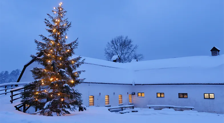 EGD20121221-14-1 (dragen)