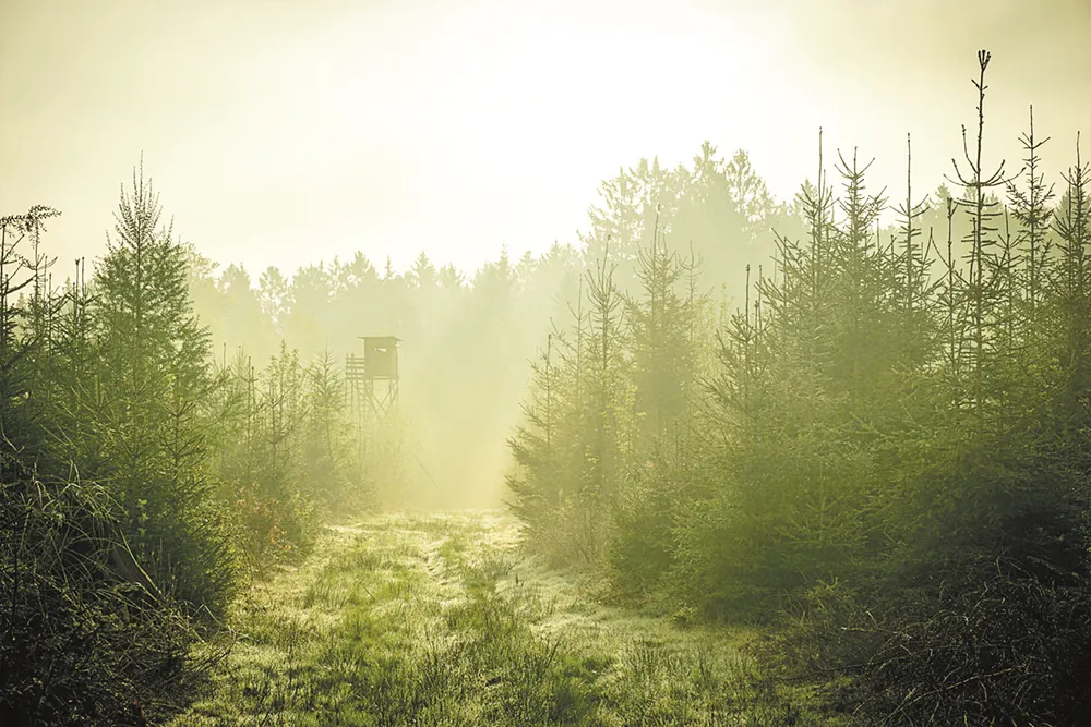 photo-1431888864265-0df446c01588 (kopia)