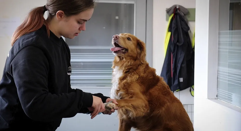 Uppsalayrkesgymnasium_6