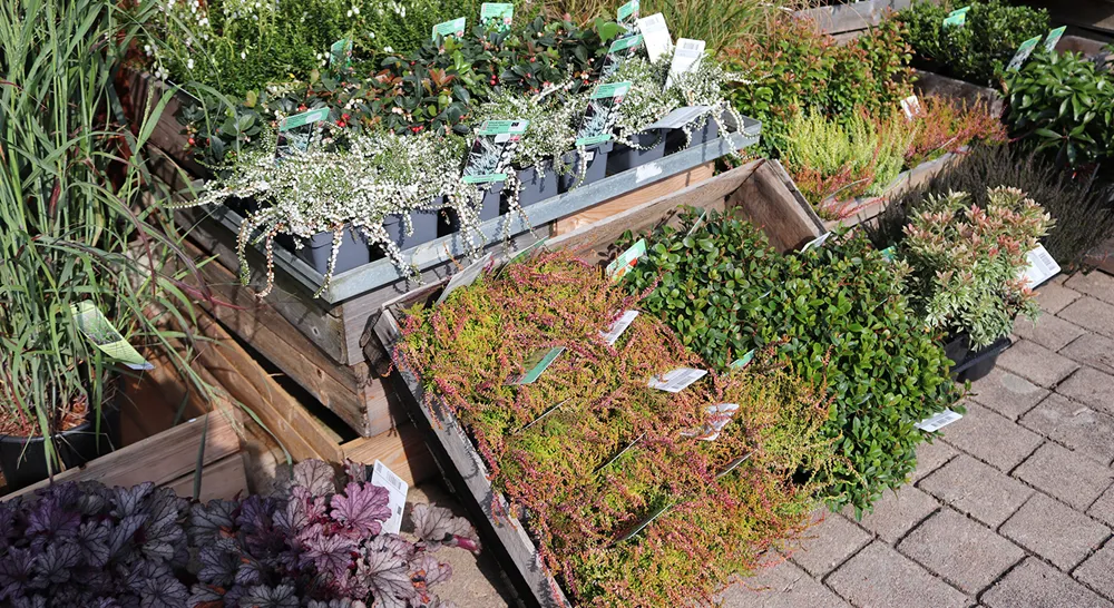 Akrabergstradga°rd_4