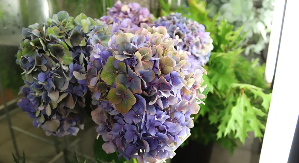 Akrabergstradga°rd_5