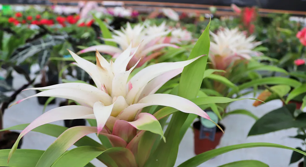 Akrabergstradga°rd_8