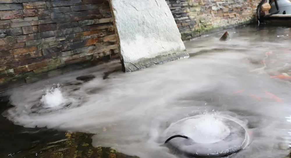 Akrabergstradga°rd_11