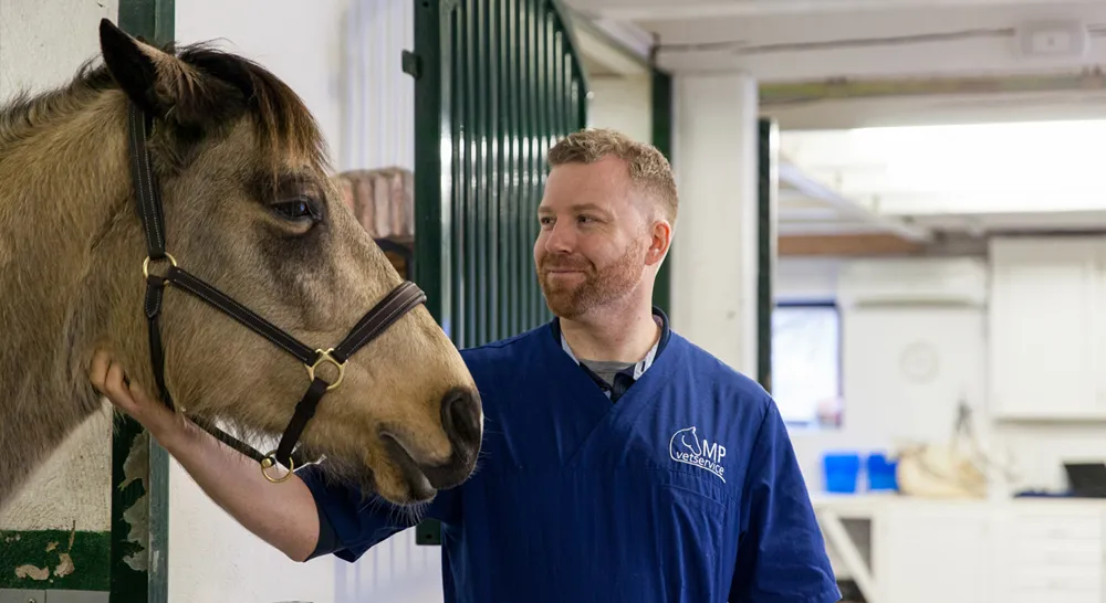 EM_MP-Vetservice-slide02