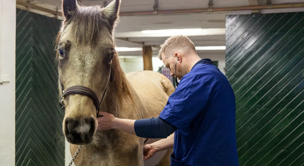 EM_MP-Vetservice-slide03