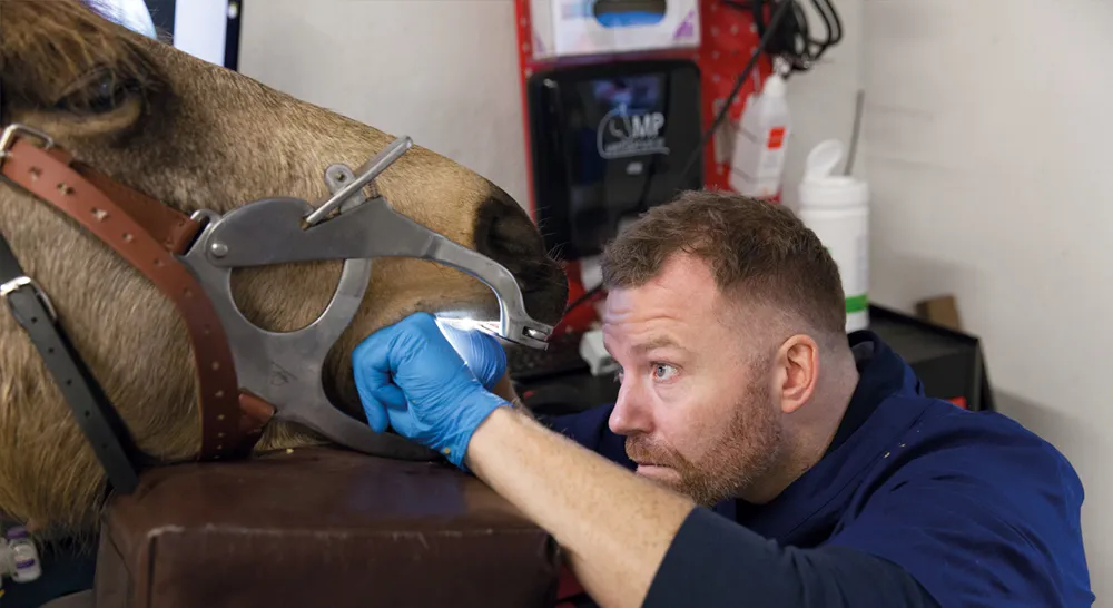 EM_MP-Vetservice-slide04