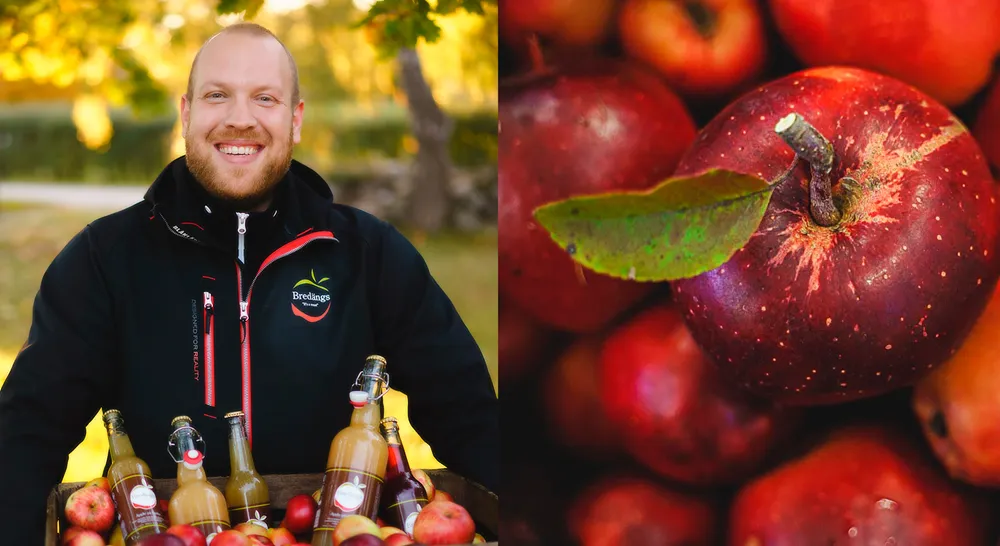 Breda¨ngsmusteri_11