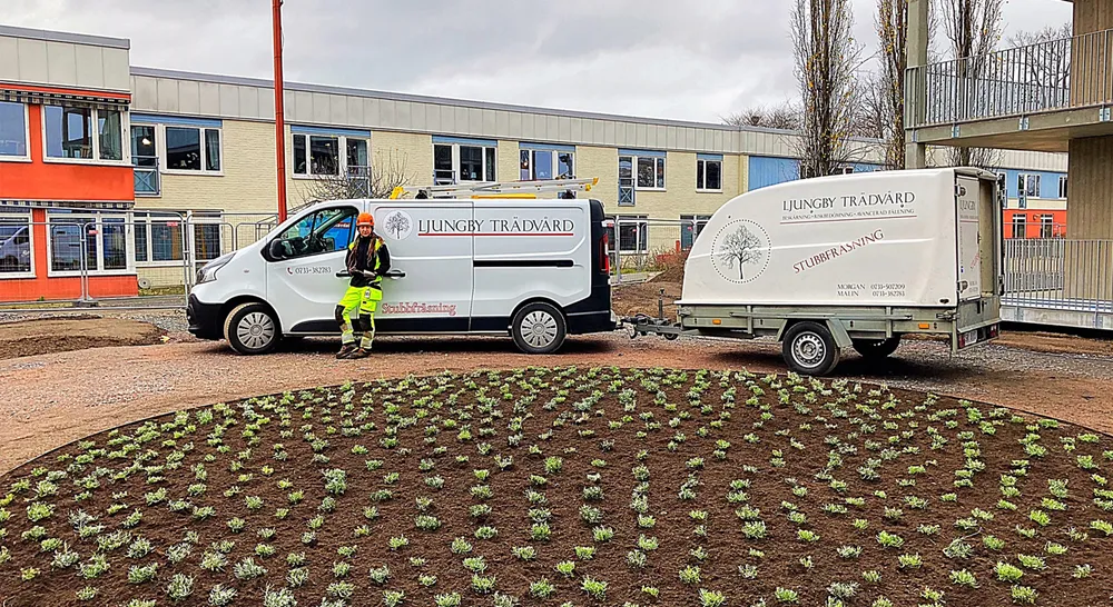 EM_ljungby-tradvard_02