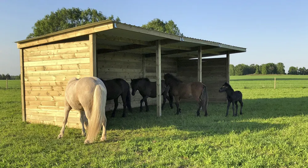 EM_stallkompaniet_03