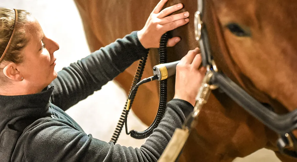 EM_marinslillastallbod_06