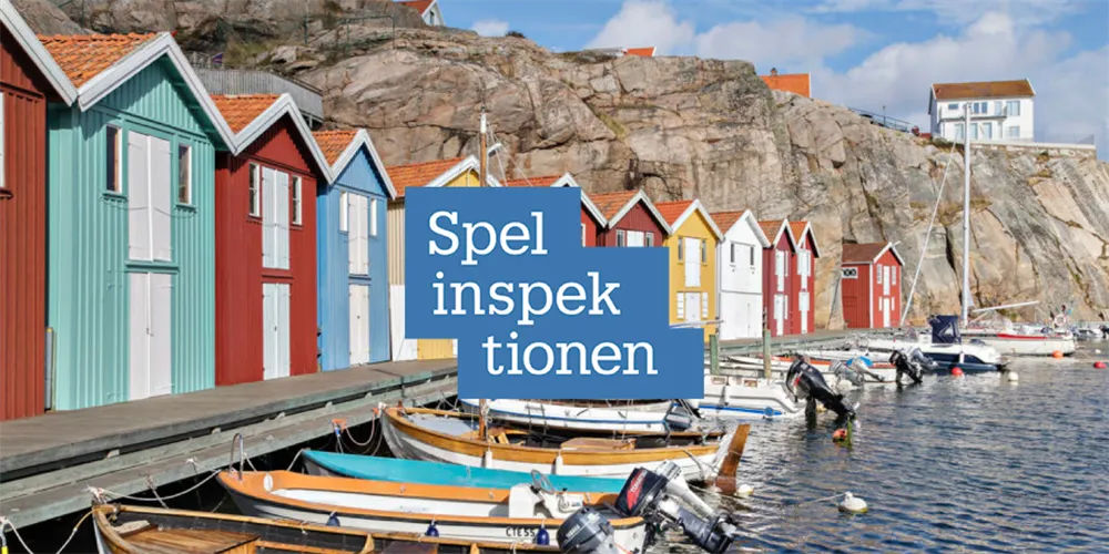 Spelinspektionen