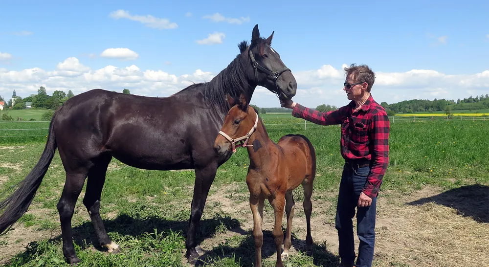 EM_Lo¨vsta stuteri_02