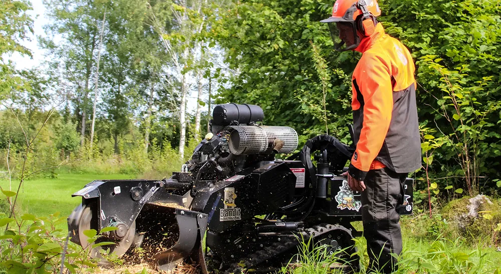 J.A Tra¨dfa¨llning o Tra¨dga°rdsservice_04