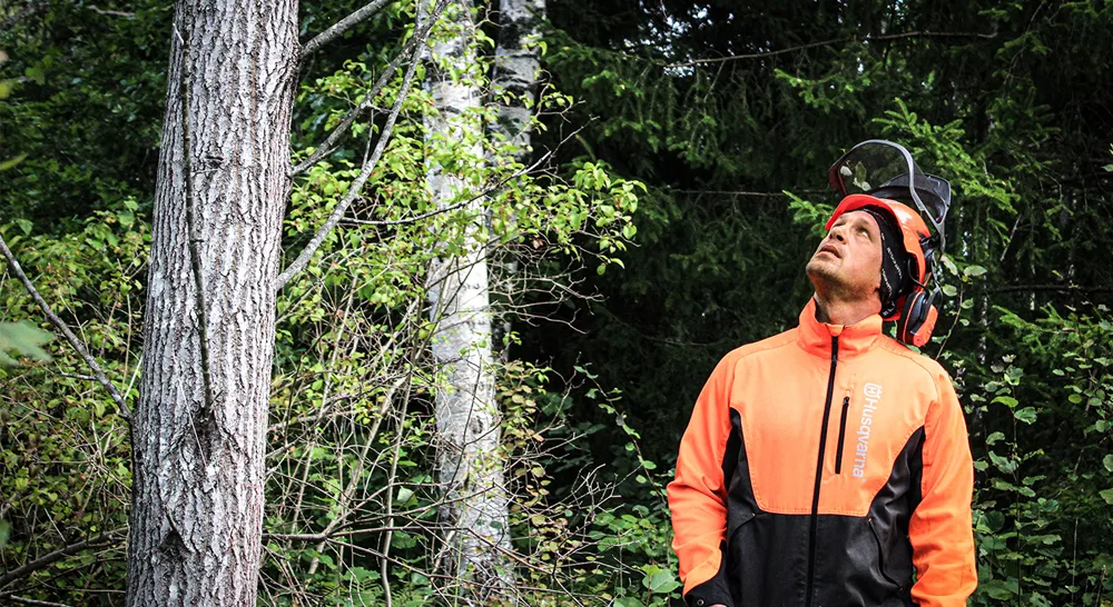 J.A Tra¨dfa¨llning o Tra¨dga°rdsservice_06