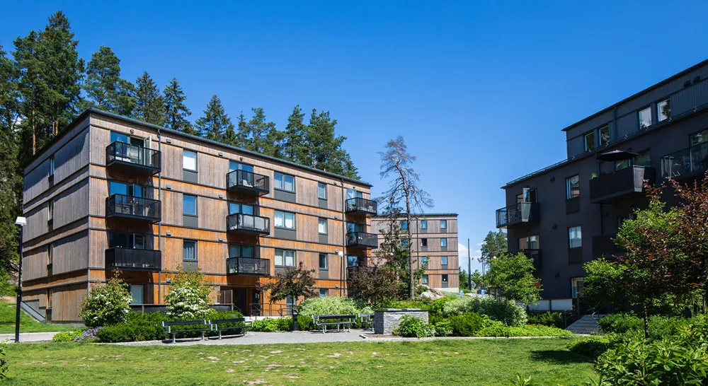 EM_No Worries BBQ_01