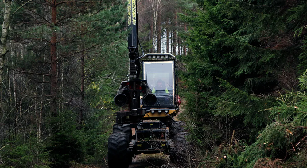 Em_Berglund Skog och Naturva°rd_02