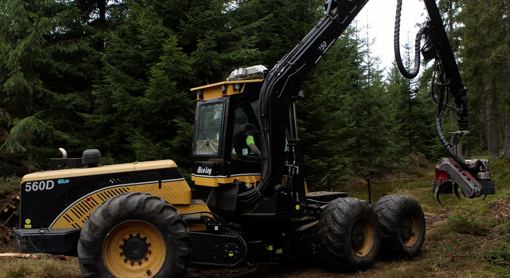 EM_Berglund Skog och Naturva°rd_03