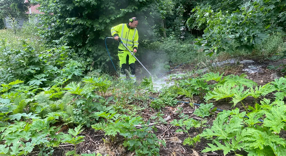 EM_Svensk Ogra¨sbeka¨mpning_01