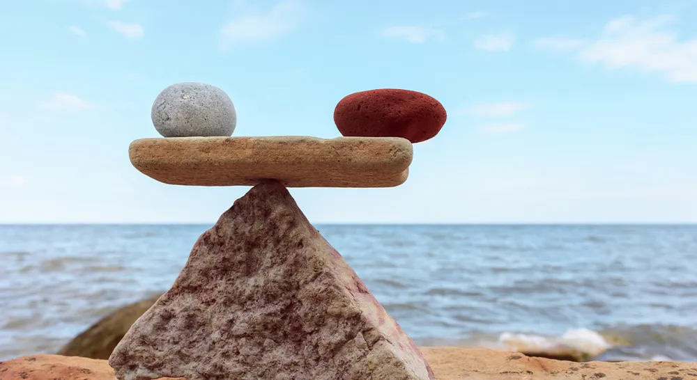 EM_ApplesOranges_Seesaw_01