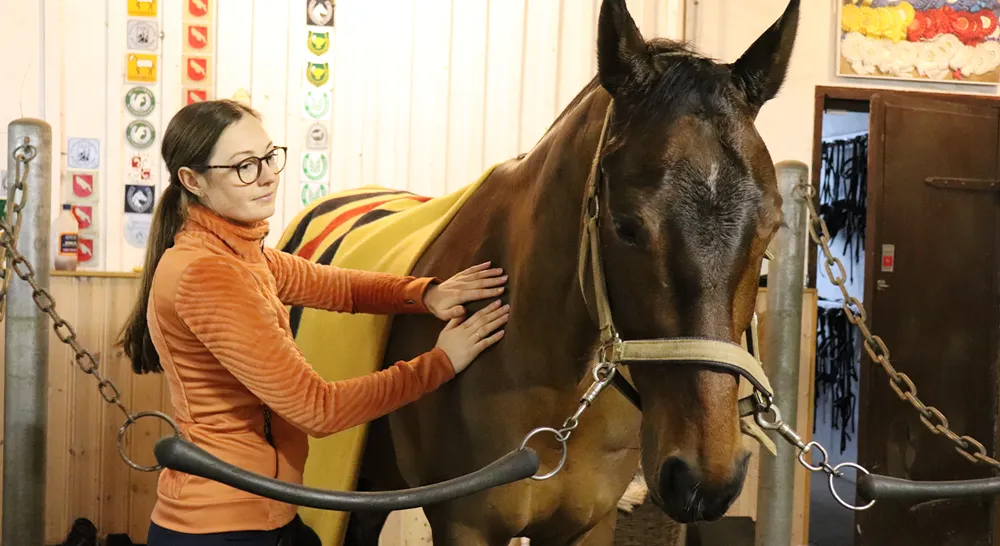 EM_Hästlymfmassören_05